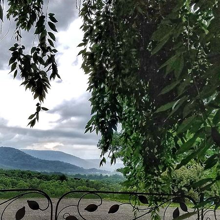 Blue Ridge Manor Bed And Breakfast Fancy Gap Экстерьер фото