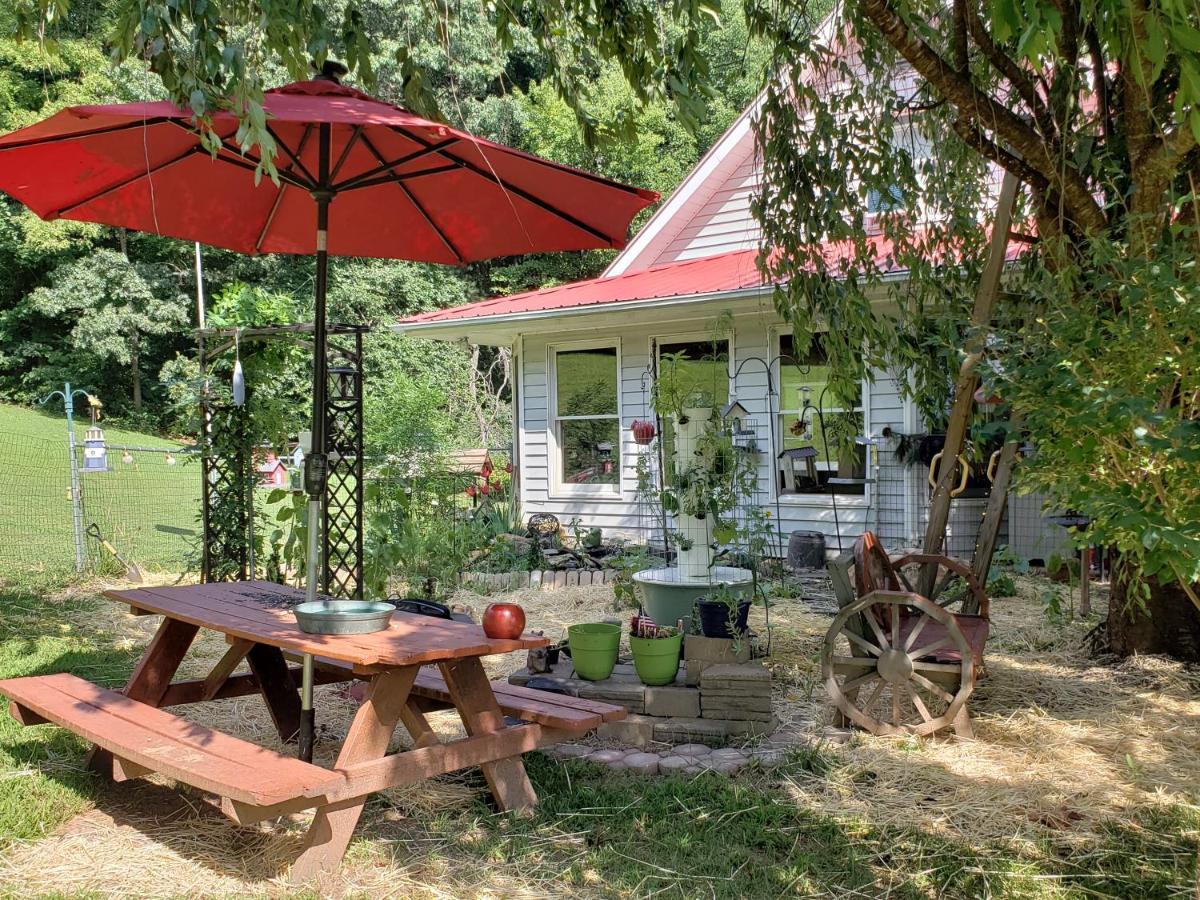 Blue Ridge Manor Bed And Breakfast Fancy Gap Экстерьер фото