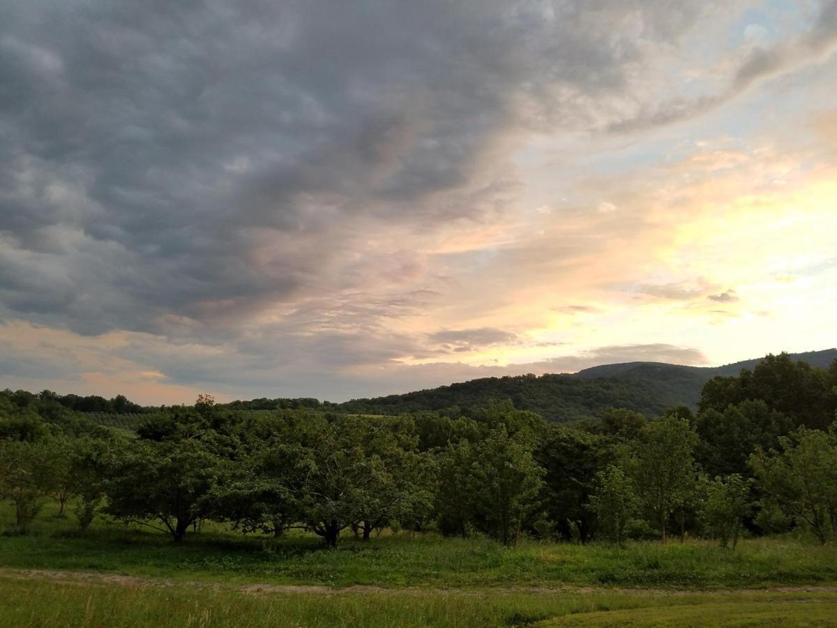 Blue Ridge Manor Bed And Breakfast Fancy Gap Экстерьер фото